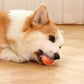 Hot Sale 45% off 🎁Automatic smart teasing dog ball🐶