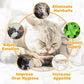 Catnip Ball Safe Healthy Kitten Chew Toys