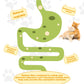 Catnip Ball Safe Healthy Kitten Chew Toys