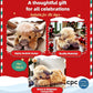 🎁Christmas Gift Toy 50% OFF🐂🎉Cute Cartoon Highland Cow Cuddly Toy