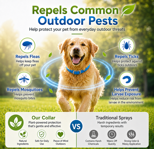 ⏰LIMITED TIME 50% OFF!🔥50K+ SOLD! Natural Essential Oil Pet Pest Repellent Collar - Adjustable Fit & Lightweight