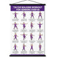 50% OFF🔥Tai Chi Chair Workout Chart for Seniors (16 x 24 inches)