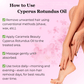🏆Flash Sale⚡ 50K+ SOLD! Almost Gone-💥All in One Hair removal essential oil