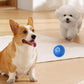 Hot Sale 45% off 🎁Automatic smart teasing dog ball🐶