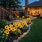 ❤️Hot Sale 60% OFF🌻2026 UPGRADED Solar Sunflowers – Hyper-Realistic Petals, Stunning Shadow Projections & Dusk-to-Dawn Garden Magic 🌻