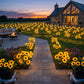❤️Hot Sale 60% OFF🌻2026 UPGRADED Solar Sunflowers – Hyper-Realistic Petals, Stunning Shadow Projections & Dusk-to-Dawn Garden Magic 🌻