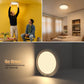 49% OFF This Week Promotions🎉🎉Rechargeable Motion Sensor Ceiling Light with Remote（🔥Buy 2 Free Shipping🔥）