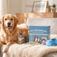 ⏳Time-Limited Special⏰Reusable Pet Hair Remover Laundry Balls