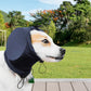Dog Ear Muffs for Noise Protection
