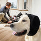 Dog Ear Muffs for Noise Protection