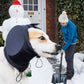 Dog Ear Muffs for Noise Protection