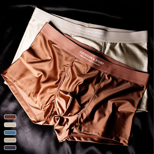 🔥Men's Satin Ice Silk Briefs