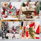 🎅Christmas Advent Gnome Countdown Calendar