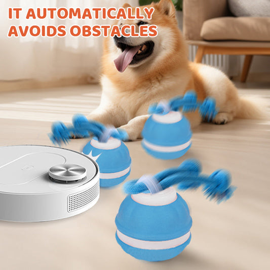 🔥LAST DAY SALE 50% OFF!!🎁Interactive Rolling Cat Ball with Bird Sounds