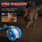 🔥LAST DAY SALE 60% OFF!!🎁Smart Interactive Rechargeable Pet Toy Ball