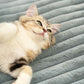 Soft Plush Cat Bed Pad