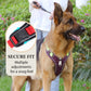 ⏳🔥LIMITED-TIME 49% OFF! ⏰🐶 No Pull Dog Harness With Leash & Collar LED - Walks Just Got Easier ✨