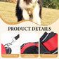 ⏳🔥LIMITED-TIME 49% OFF! ⏰🐶 No Pull Dog Harness With Leash & Collar LED - Walks Just Got Easier ✨