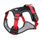 ⏳🔥LIMITED-TIME 49% OFF! ⏰🐶 No Pull Dog Harness With Leash & Collar LED - Walks Just Got Easier ✨