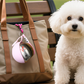 🔥Last Day 50% OFF🔥 2-in-1 Portable Dog Water Bottle for Small Dogs - Leak-Proof & Compact