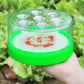 🎁💥LAST DAY SPECIAL PRICE!-￡9.99!! 🌿 Reusable Non-Electric Fly Trap
