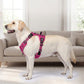 🏆LAST DAY 49% OFF🐾Outdoor Heavy Duty Dog Vest Harness