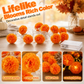 🚀Halloween Special Offer🎃🧡Artificial Marigold Flower LED String Light