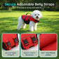 50%OFF 🐕 High Buoyancy Dog Life Jacket — Superior Flotation Vest for Swimming & Boating