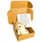 Mini Plush Pocket Teddy Bear with Greeting Card & Gift Box