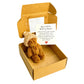 Mini Plush Pocket Teddy Bear with Greeting Card & Gift Box