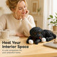 ⏳🔥LIMITED-TIME 50% OFF! ⏰Cute Squishy Teddy Dog Stress Relief Toy🐾