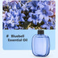 🥇Hot Sale - 49% OFF🥇Automatic Fragrance Spray for Home