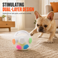 Interactive Dog Soccer Ball Toy with Grab Tabs