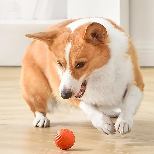 Hot Sale🎁Automatic smart teasing dog ball🐶